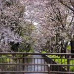 【武蔵砂川駅の住みやすさは？】女性の賃貸一人暮らしでチェックすべき街の特徴・治安・口コミ・おすすめスポットを解説！
