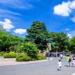 【豊島園駅の住みやすさは?】女性の賃貸一人暮らしでチェックすべき街の特徴・治安・口コミ・おすすめスポットを解説!